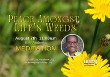 Aug 7 Meditation Peace Amongst Life's Weeds Kim Andrews